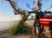 IMG-20210601-WA0015