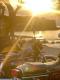 IMG-20210601-WA0016
